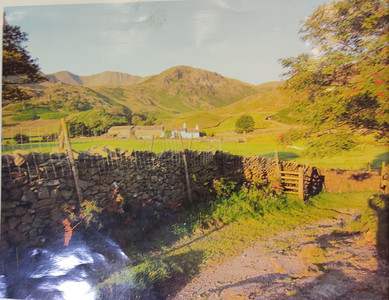 Catherine Inglis photo for painting May 2025.jpg